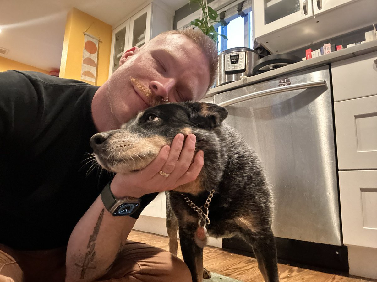 heelersbot tweet media