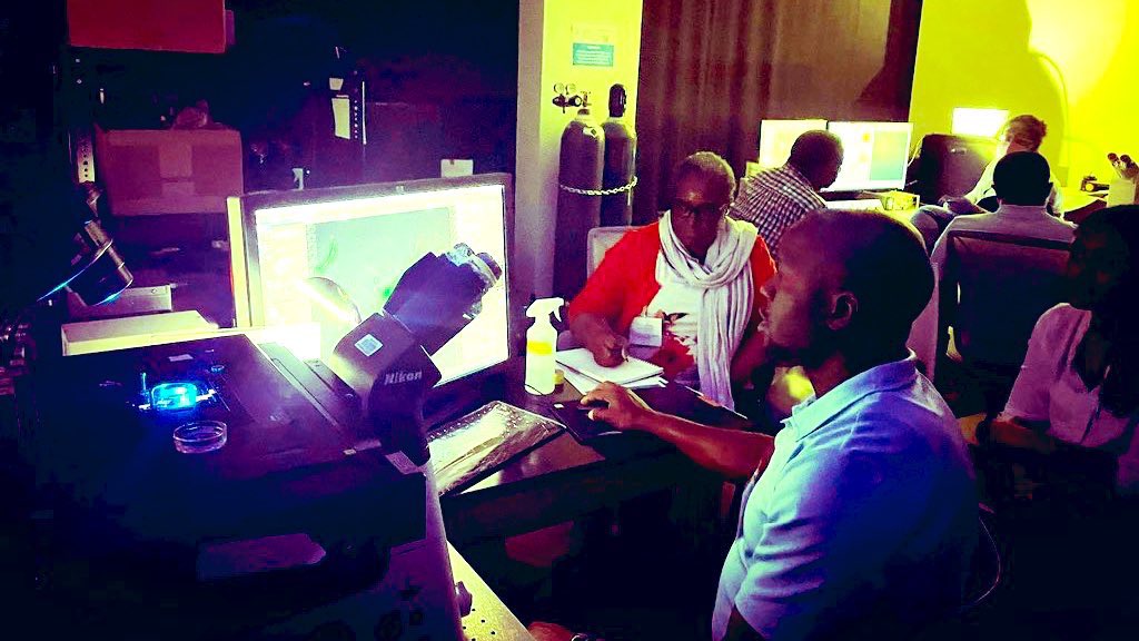 Michelle Itano tweet media