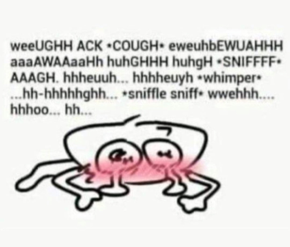 marleyIsGnarly's tweet photo. @Haidenisa Literally me https://t.co/x0hYoya3D2