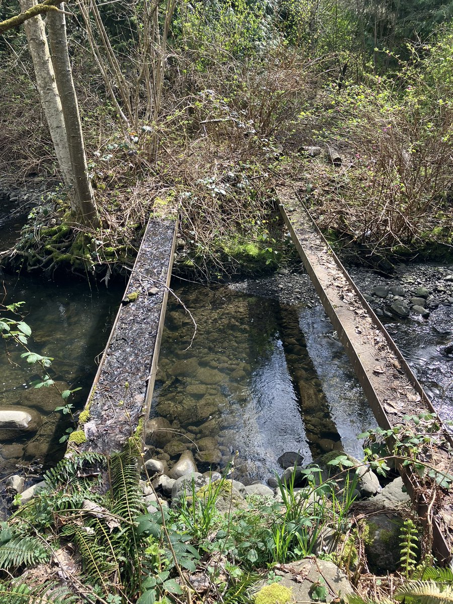 Always interesting to come across unique representations of “the past” in my work. Urban #naturalareas are resilient and carry stories of days gone by. Wonder what stories this bridge holds? #urbanforestry #pnw