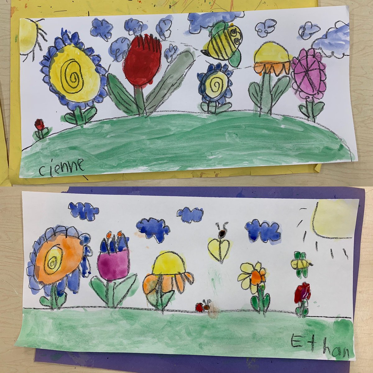 LauraAMcHugh's tweet photo. Have to show off my talented Kindergartner McDivitt Art Stars 🌟! How adorable are these spring landscapes???💕🖌️✏️👏🙂🎨@McDivittSchool https://t.co/TXsotojR7t