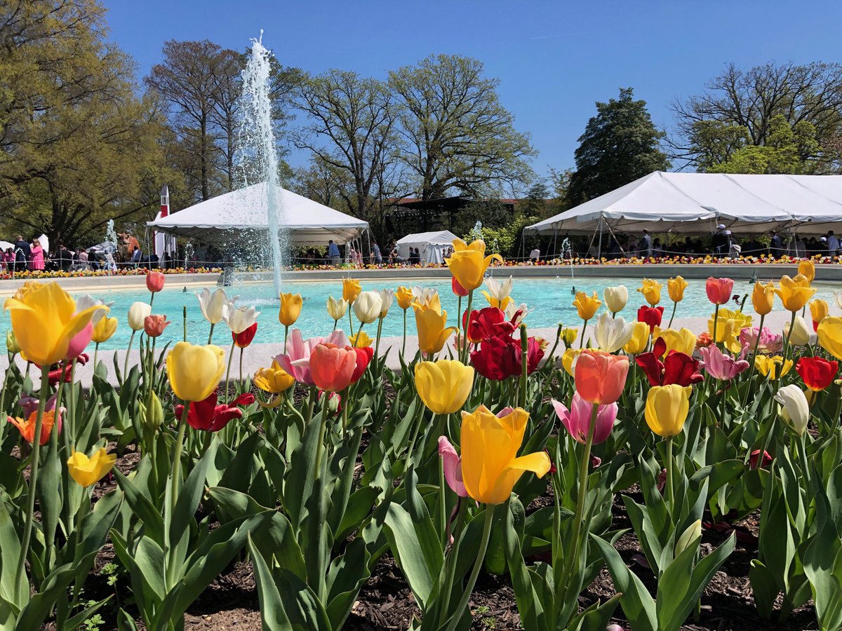 Volunteered for ASPB at the 2023 White House Easter Egg Roll event. Taught kids how to build a seed cup necklace and dissect Lima Bean. Budding scientists start from a simple playing with tiny seeds! Very fortunate to meet with President Biden! <a href="/ASPB/">ASPB</a> <a href="/UMBCBiology/">UMBC Biology</a> <a href="/WhiteHouse/">The White House</a>