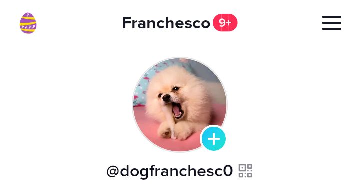 dogfranchesco's tweet photo. Oii gentee boa noite, criei uma conta do chico lá no app vizinho vão seguir e acompanhar.

https://t.co/rS2A5MgTrI 

@marianicollyy e @ttmanuziinha https://t.co/ts7dtoxjGM