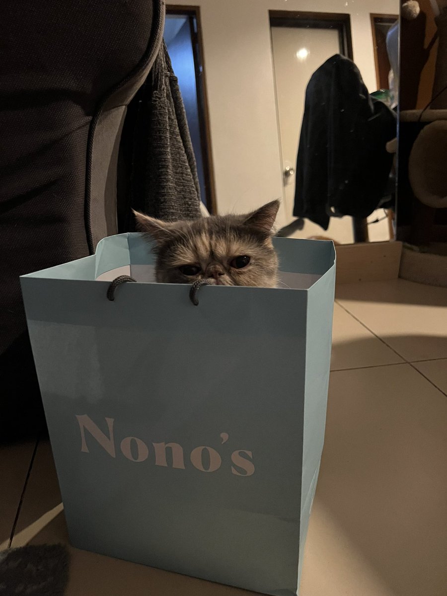 shellyoaks9's tweet photo. https://t.co/GXimqtD8ig