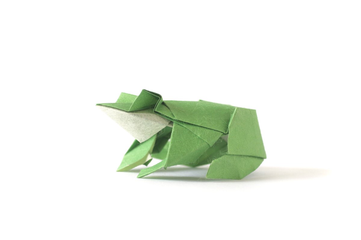 arisannoorigami's tweet photo. 『カエル / Frog』
創作&折り:有澤悠河
紙:KN-01、6.5匁、デジタル顔料着色
紙サイズ:150mm×150mm
不切正方形一枚折り
イヌワシに続き、こちらも5月に金沢で行うワークショップ用の新作です。
梅雨入りの時期ということで。
#折り紙作品 #origami #CORSOYARDPAPER https://t.co/Oe1aZSnJ0E