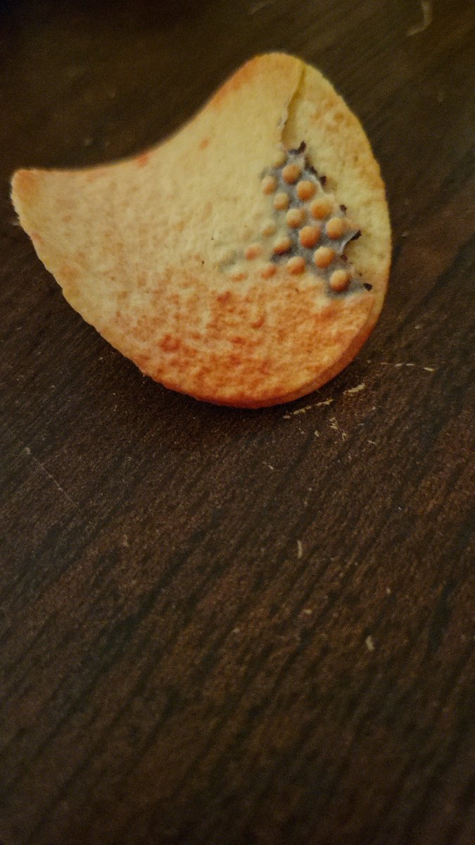 mellowbellow1's tweet photo. @Pringles what is up with my chips??? https://t.co/PKyzzmktvP