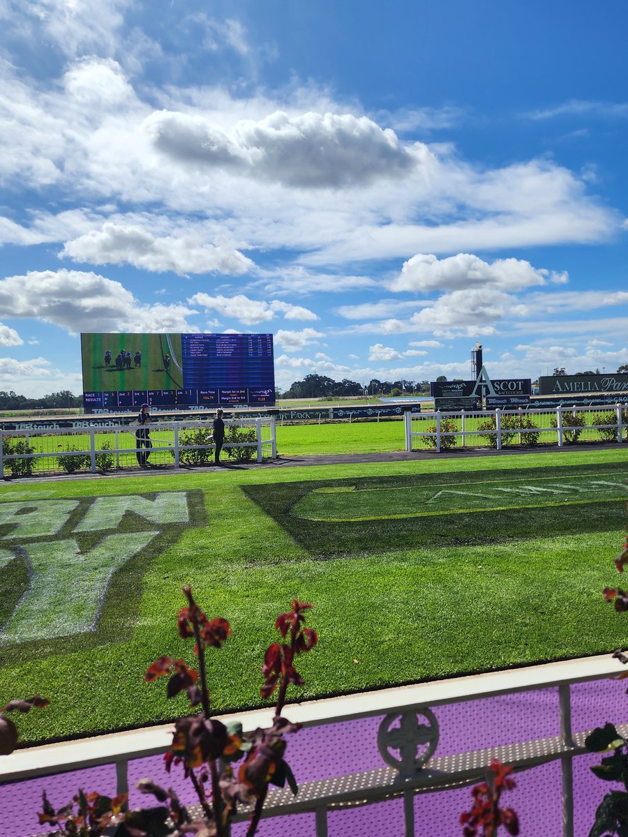 Leg 3 of the #westerntrilogy #Quokka @ Ascot @PerthRacing #backedthewinner #deepenvy