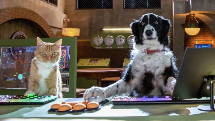 AriBotero's tweet photo. #AriDatosDePelícula #CatsAndDogs3
#WarnerBros @La_Banda_VIP 
En esta ocasión conoceremos a la agente Gwen quién está ansiosa por ser una agente de campo y pronto tendrá esa oportunidad en una misión muy importante... https://t.co/UCuMlOcVBC