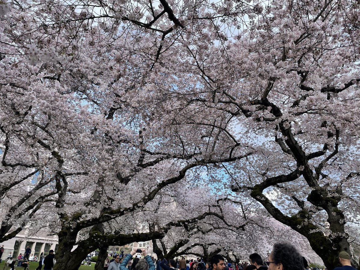 Ralia779's tweet image. @US_ASP is almost like home - (2020)met my mentor, (2022)presented my PhD work, #USASP2023, presented my grant-funded project re sex diff. in pubertal risk of adolescent pain☺️ The most lovely part - catch up with friends and meet new friends!😊😊See you all in Seattle 2024!