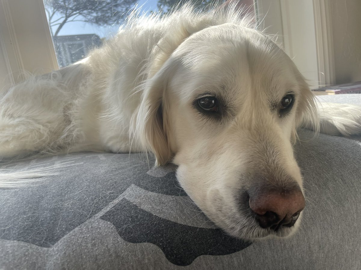 having a lazy one today frens