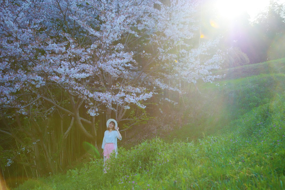 Colorentame's tweet photo. model @_musubi_na 

photo by gouki yano

shooting location Asukamura

 #奈良  #飛鳥村  #写真  #photo  #写真好きな人と繋がりたい 
 #ポートレート #ポートレート写真 #かわいい #かっこいい
 #おしゃれ #撮影依頼募集中   #被写体 https://t.co/evZndtoOhb