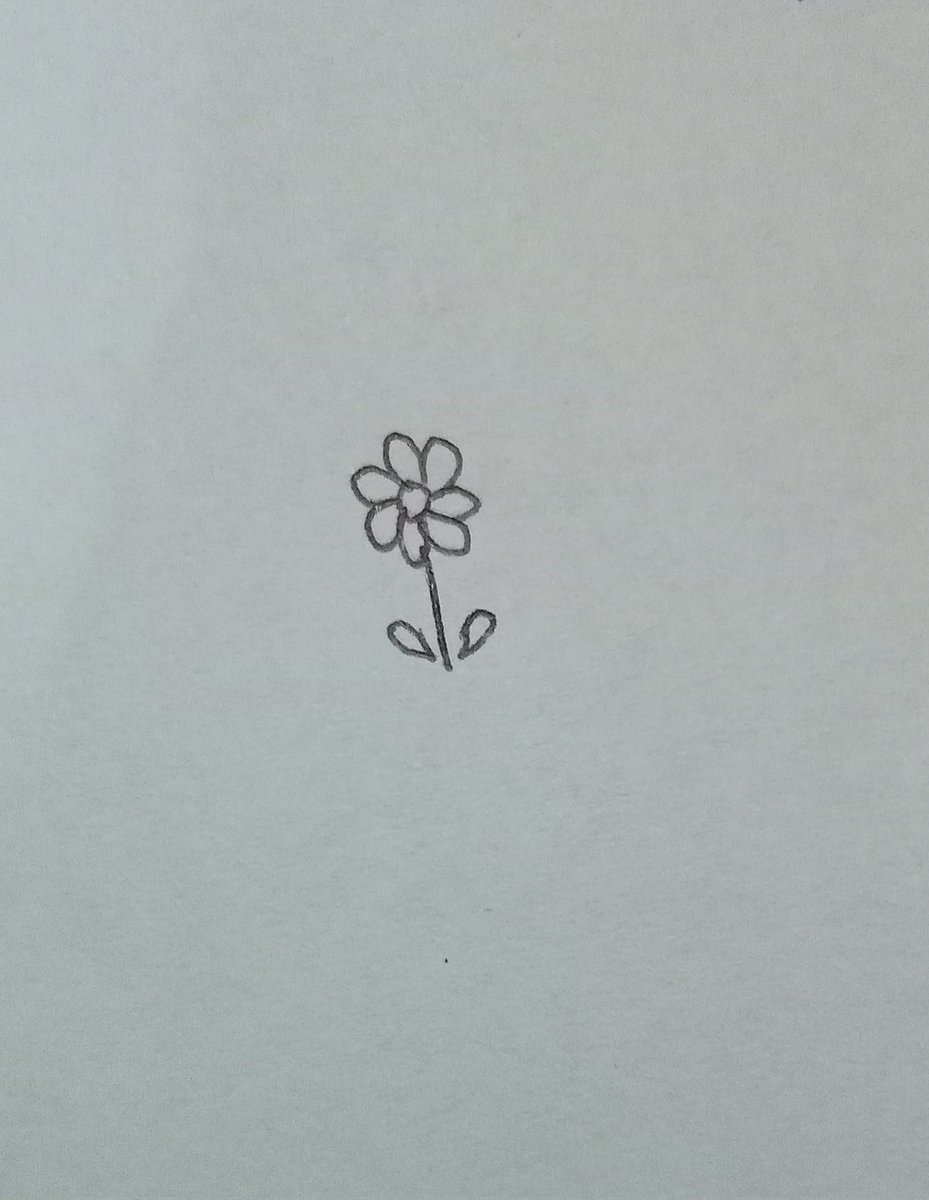 วาดดอกไม้ตามรี