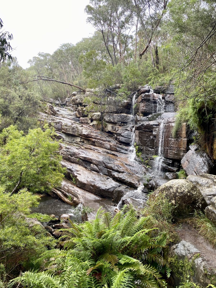 kateinkew's tweet photo. Stoney Creek, Splitters Falls, Wonderland #Gariwerd #Grampians https://t.co/1MsNBM1CTc