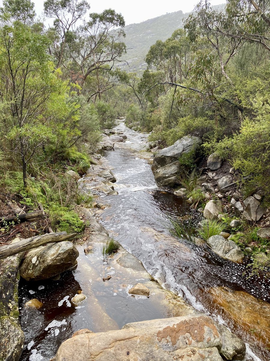 kateinkew's tweet photo. Stoney Creek, Splitters Falls, Wonderland #Gariwerd #Grampians https://t.co/1MsNBM1CTc