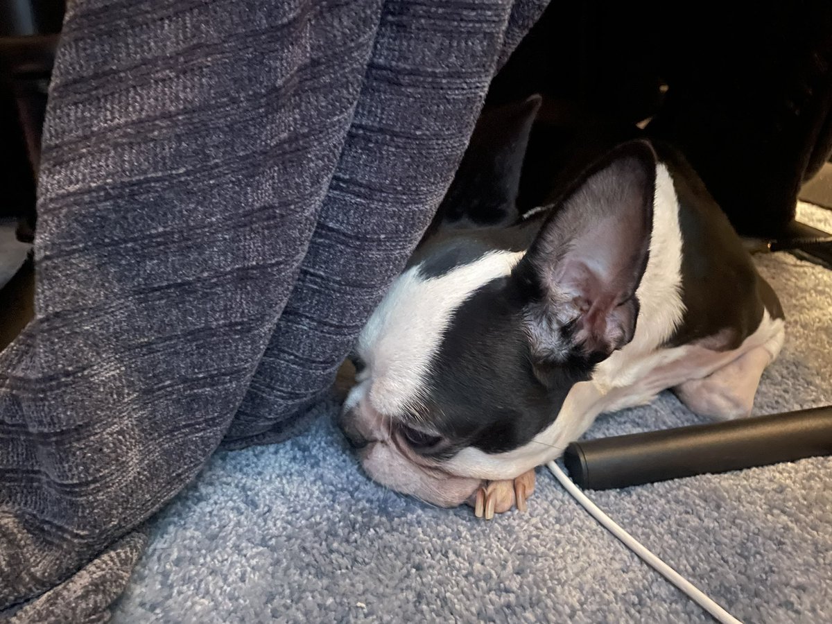 Some days you do a class and finish pickups on two books and feel like you worked a full day. Pancakes, puppies and Resident Evil Village are calling me 👻 🧟‍♀️ 💥 🥞