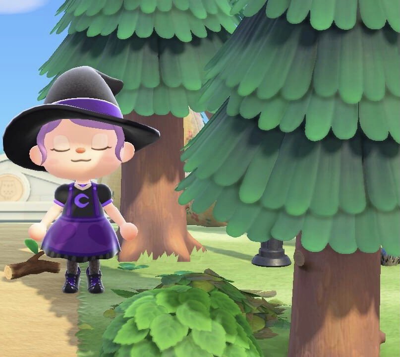 ElderGroveAC's tweet photo. Just enjoying the woods 🥰 https://t.co/9CCsQm40y0