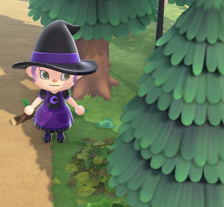 ElderGroveAC's tweet photo. Just enjoying the woods 🥰 https://t.co/9CCsQm40y0