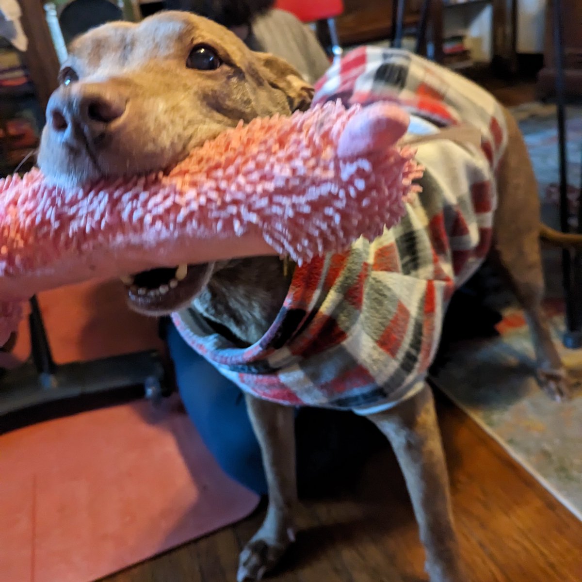 Kristina 🎉 tweet media