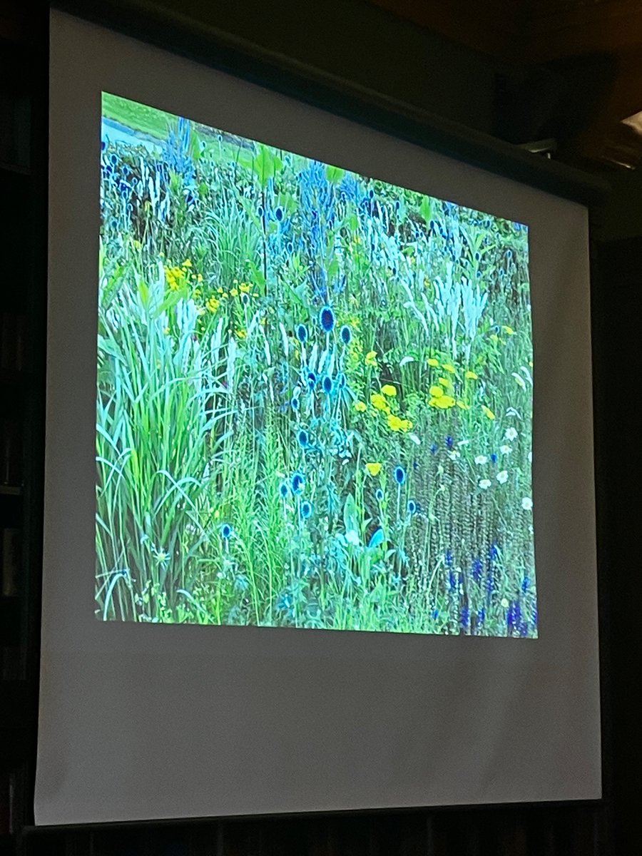 Turulanne's tweet photo. Pääsin eilen kuulemaan Ritarihuoneella kv-bränditaituri Eva Wuiten luentoa vihreän lifestylen trendeistä meillä ja maailmalla 🌺��🌼
#arvot #ekologisuus #dynaamisetistutukset #monimuotoisuus #villihallittukaaos #urbanjungle #balsamoitusammal #japaljonmuuta https://t.co/pIWZoM35Wk