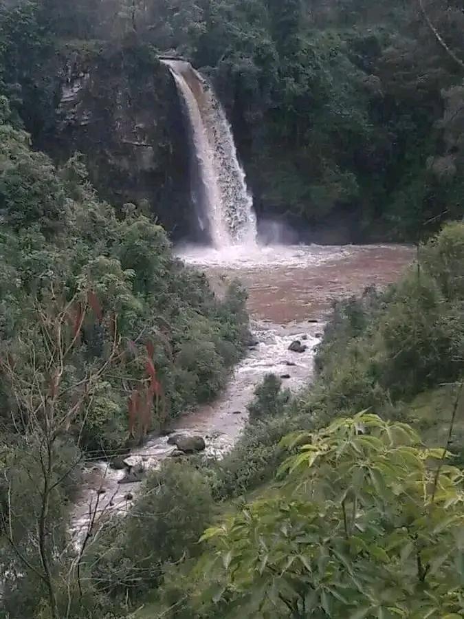 ዋቻበያ 
====
በጉመር ወረዳ ከሚገኙ ድንቅ የተፈጥሮ መስህቦች ውስጥ አንዱ ዋቻበያ ፏፏቴ ነው።

ይህ ፏፏቴ በጌታና በጉመር ወረዳዎች ድንበር በጉመር ወረዳ አርሟ ቀበሌ ውስጥ ይገኛል።

Please Follow 🅶🆄🆁🅰🅶🅴 🅴🆃🅷🅸🅾🅿🅸🅰
facebook.com/profile.php?id…