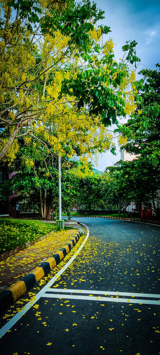 Sumandash1011's tweet photo. Nature never goes out of style.. #PhDLifePro #IISERTVM https://t.co/3N5NhUsxej