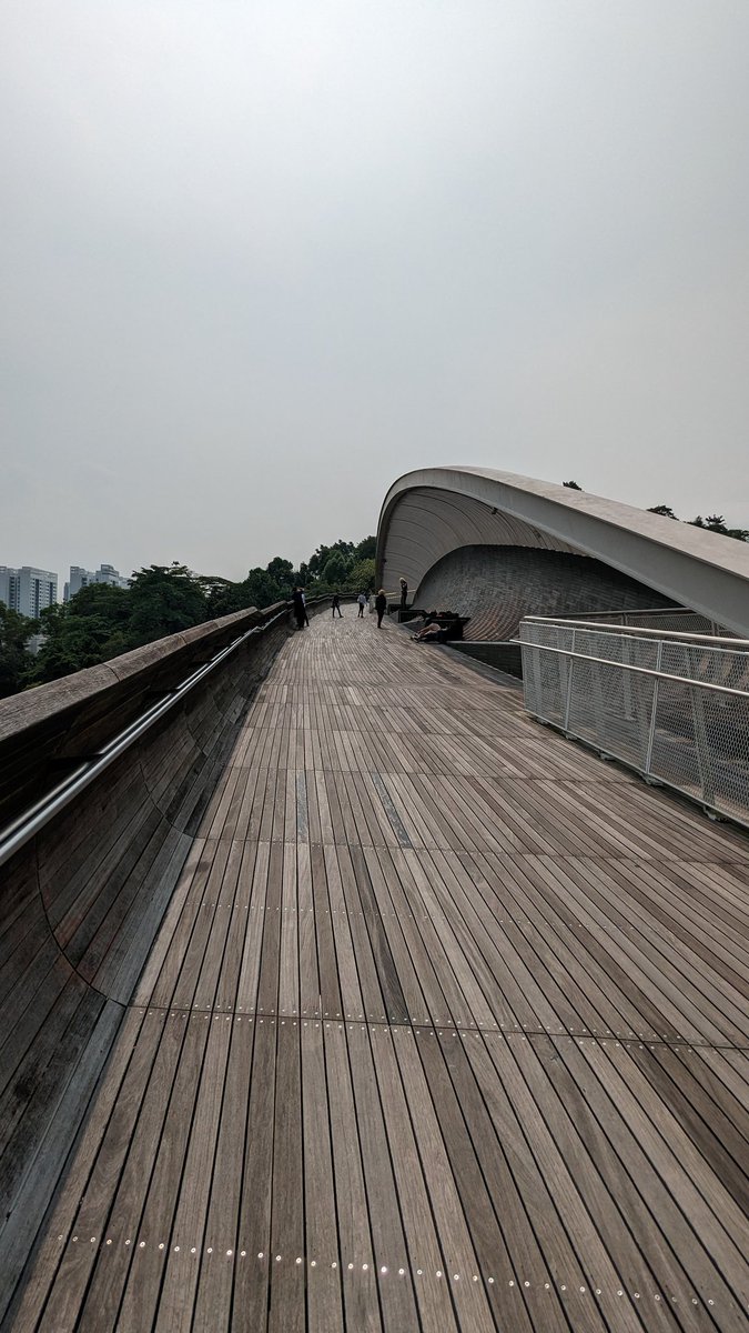 tktktk09's tweet photo. シンガポールで最も高い位置にあるという歩道橋「ヘンダーソン・ウェーブ・ブリッジ(Henderson Waves Bridge)」に行ってみた。暑い日中帯に行ったせいか、人はまばら。2度目。
#シンガポール #Singapore
#ヘンダーソンウェーブ
#HendersonWaves https://t.co/oMvb8auxW7
