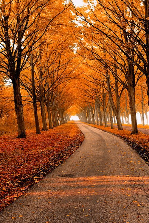 MariamB80321249's tweet photo. #nature photography#💯🦋❣️🌸🇵🇰 https://t.co/40mA3TifFD
