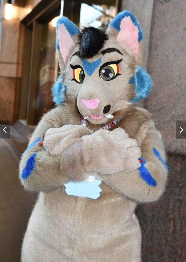 ♠️ House Of Cards Fursuits ♠️ Comms open! tweet media