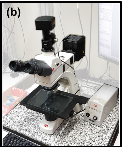 Castellanos Lab tweet media