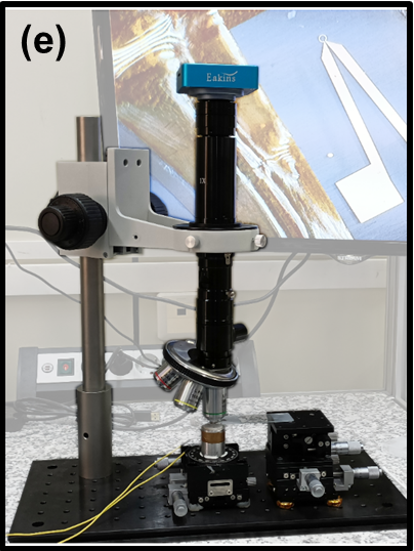 Castellanos Lab tweet media