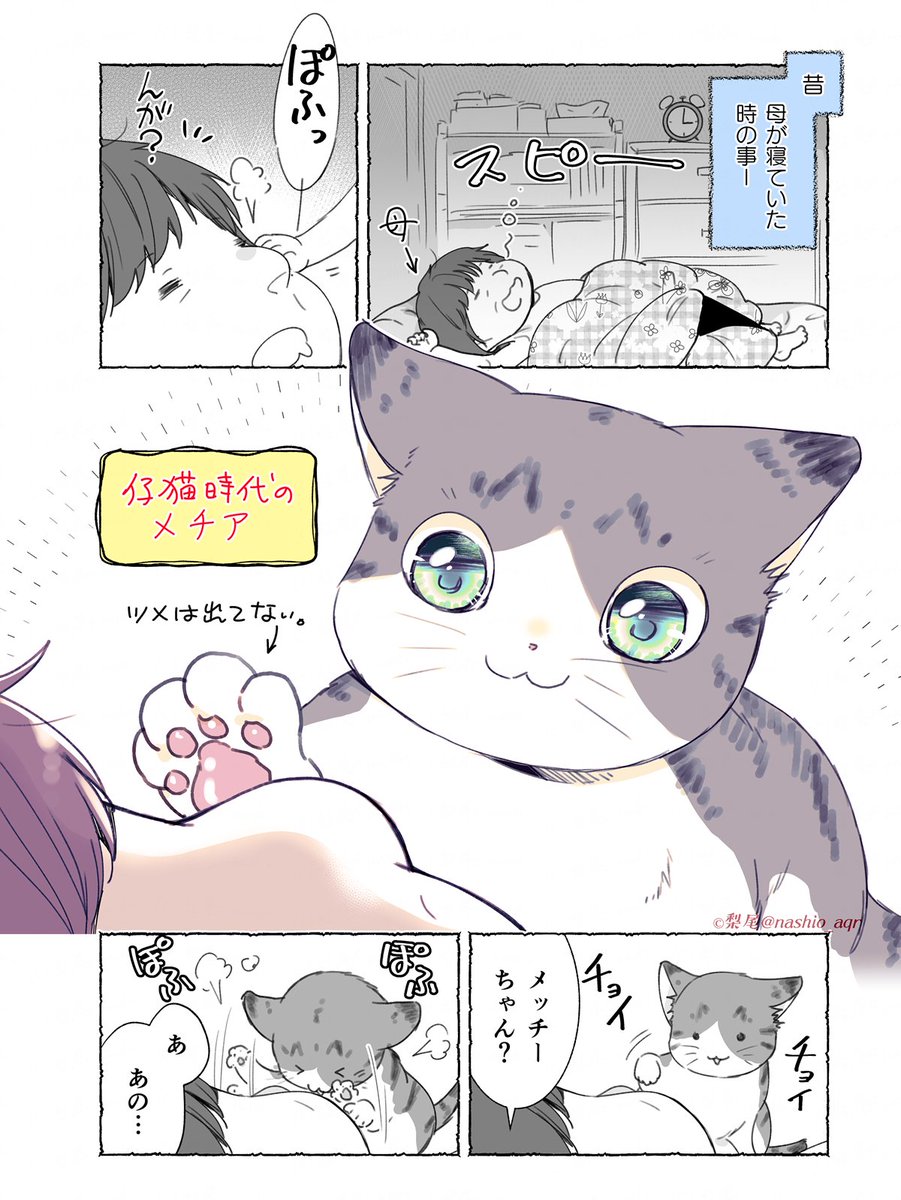 仔猫の狙いがかわいかった漫画(1/2) 

#漫画が読めるハッシュタグ https://t.co/lj0pNJraJZ