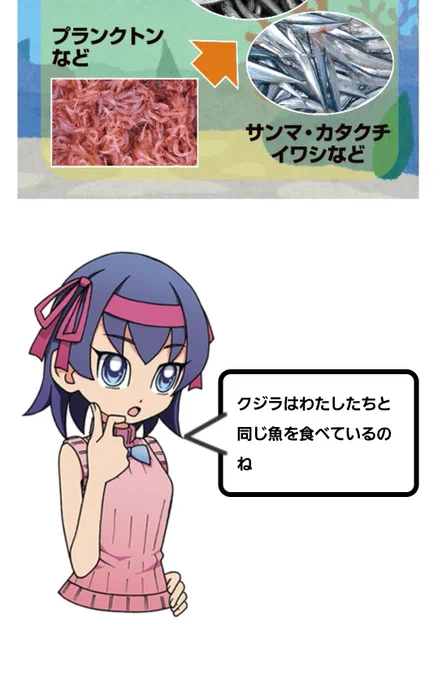 クジラの事を調べてたら
突然かわいい子が出てきてびっくりした
「おしごとはくぶつかん」というサイトの子らしい 
