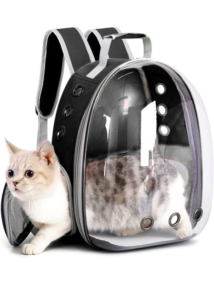 Purchase this Pet Carrier Bag so that you can bawa your cat jalan2 sekali 🥰🫶