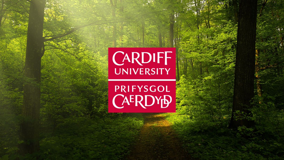 Cardiff University Hedgehog Friendly Campus (@cuhedgehogs) on Twitter photo Help make Cardiff greener! Tree planting event <a href="/cardiffuni/">Cardiff University</a> Talybont Sports Centre coming up.
📅26th April
🕐1-4pm
Lunch will be provided.
#treeplanting #netzero #LivingLabs
Sign up here: bit.ly/40a6i2a Help make Cardiff greener! Tree planting event <a href="/cardiffuni/">Cardiff University</a> Talybont Sports Centre coming up.
📅26th April
🕐1-4pm
Lunch will be provided.
#treeplanting #netzero #LivingLabs
Sign up here: bit.ly/40a6i2a