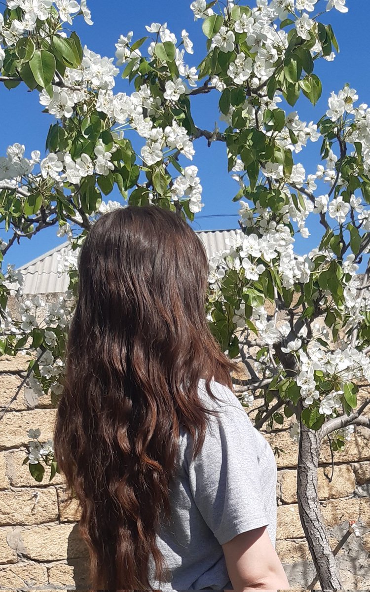 My favourite season🌸 #spring