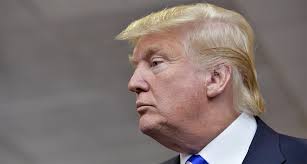 Littlehypemedia's tweet photo. I hope my " Pyaar " remains consistent just like Trump's Hairstyle 🌝 https://t.co/UeLboruG9R