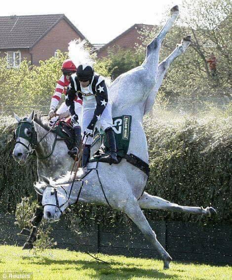 domdyer70's tweet image. Anyone who is peacefully protesting against the Grand National today has my full support. Over 50 horses have died since 2,000 this is cruelty for profit dressed up as entertainment @LeagueACS @AnimalAid #GrandNational2023 #YouBetTheyDie