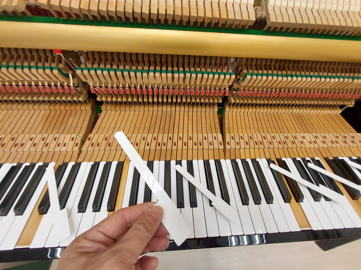 cklawpianotuner's tweet photo. Yの日常！

#pianotechnician 
#pianotuner 
#pianobassstrings
#pianorefinishing
#piano
#recyele
#鋼琴調音師
#鋼琴調律師
#鋼琴調音
#鋼琴調律
#鋼琴補漆
#鋼琴低音弦線 
#鋼琴
#文化
#藝術
#文化藝術
#ピアノ調律師 
#ピアノ調律師の日常
#ピアノ塗装
#ピアノ https://t.co/0hxJMiC68X