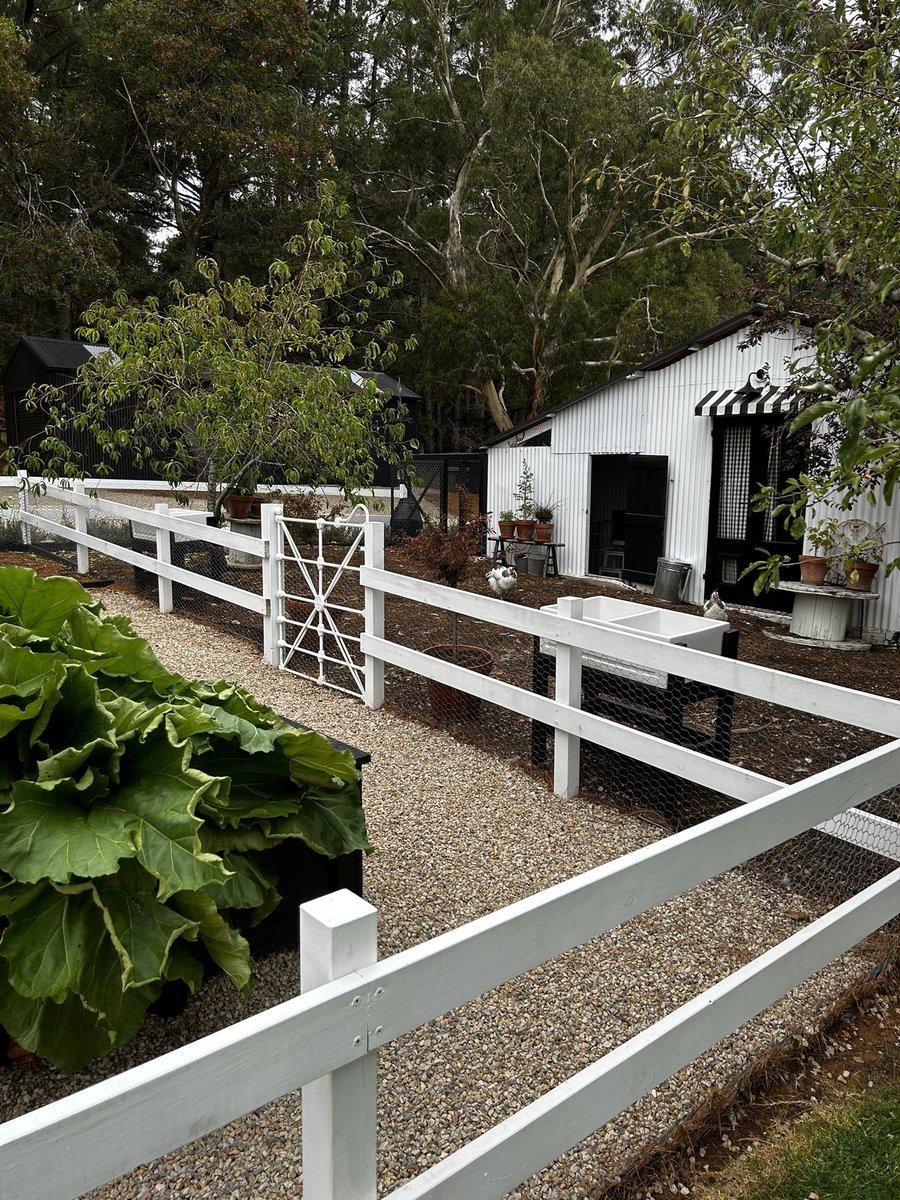 daviefogarty's tweet photo. Bought a farm… https://t.co/hveNyzIZHF