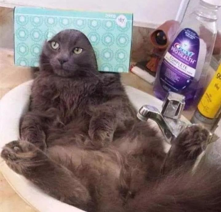 Angel_Devil982's tweet photo. “It’s called a spa day, Karen. Now hush, and let me relax.” https://t.co/Hpcb0suOMq