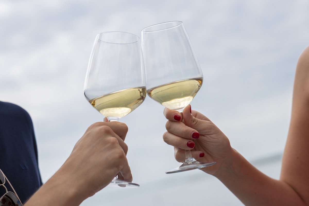 Ritorna l'appuntamento con Vigneti Aperti FVG!🍇 
Scopri quali sono le cantine partecipanti questo weekend👉 bit.ly/3UwhDbu

#iosonofvg #fvglive