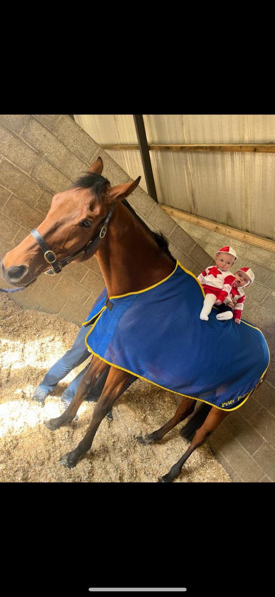 FaheyBer's tweet image. CUTENESS OVERLOAD 🤩 Jack and Jessica Kelly down to see The Big Dog before he left home for Aintree. Wishing all the Kelly family the very best of luck in running today🤞🤞@AintreeRaces  @RandoxOfficial @PeterRacing