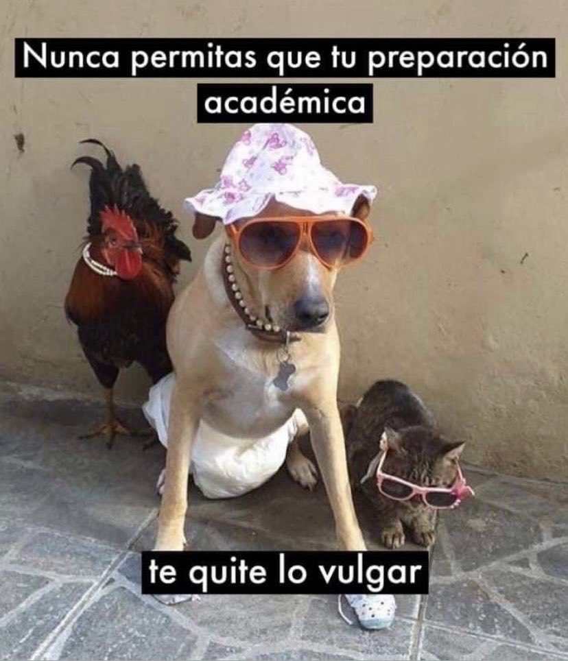 Este meme me representa muy mucho. 

Soy ese.