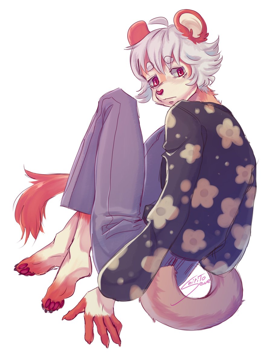 ShiritoEwwe's tweet photo. Uh.. I didn't know what to put

#furryart #myOC #furry https://t.co/ZInyQYecj1