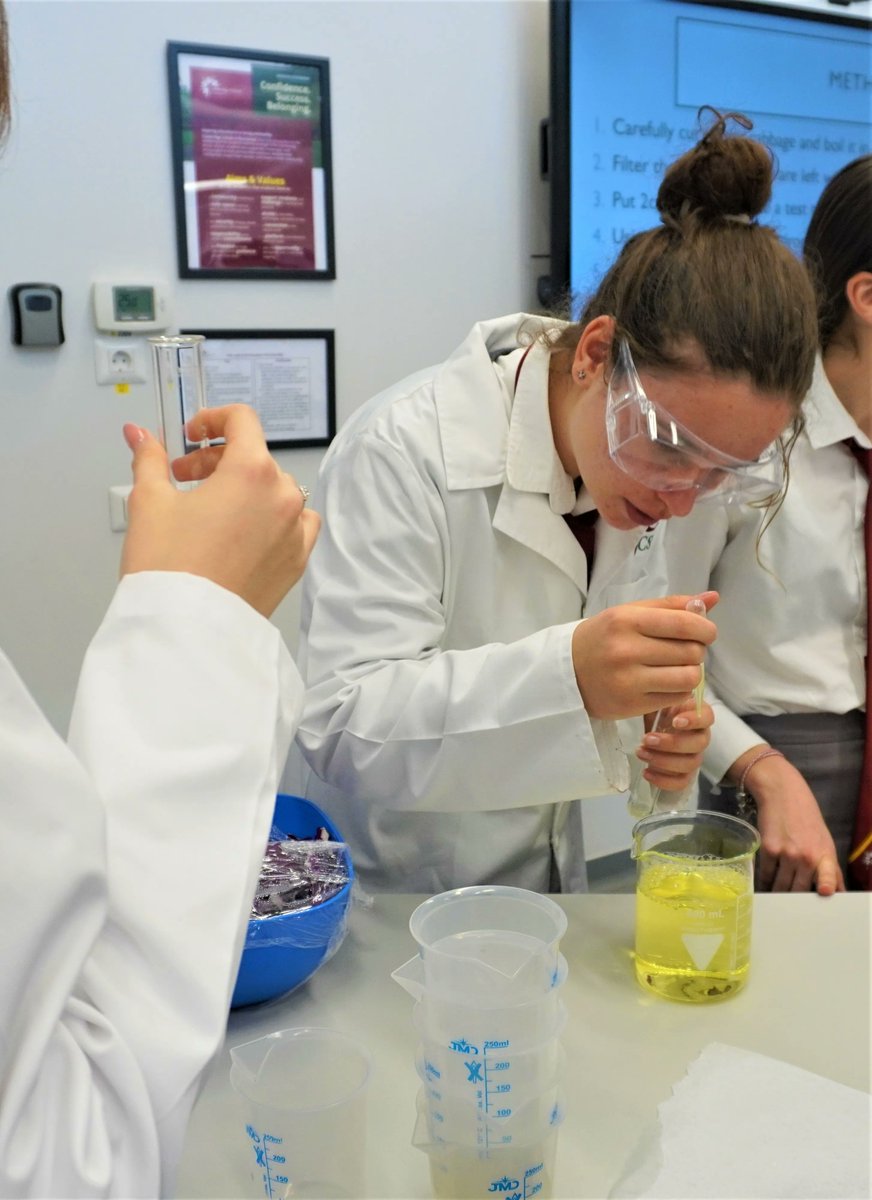 CSBucharest's tweet image. The year 9 students were conducting an experiment to test the acidity or alkalinity of various liquids. They utilized a red cabbage indicator, which is created by boiling red cabbage in water. Who knew science could be so colourful?

#KS3Science #Keystage3science #learnbydoing