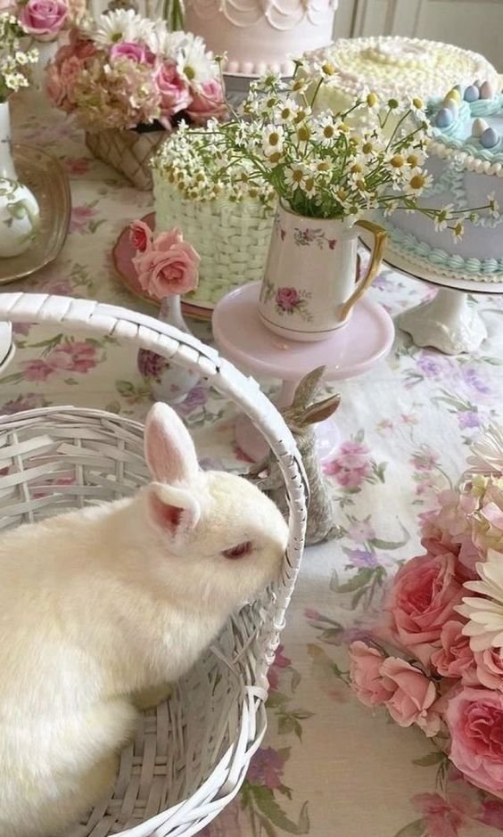 etherealdior's tweet photo. pastels make it cuter https://t.co/A2XzJq6RW2