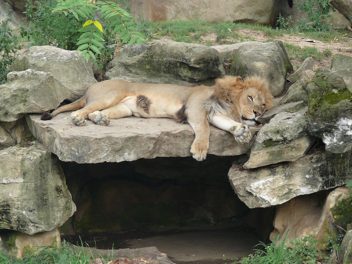 GalatasaraySK's tweet image. Hafta sonu mod: ON ✅