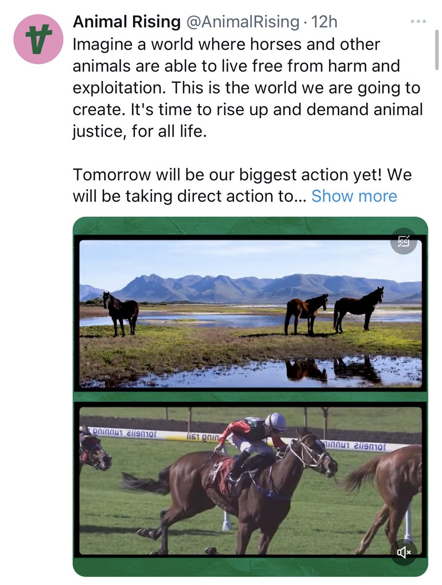 Fergal O'Brien Racing tweet media