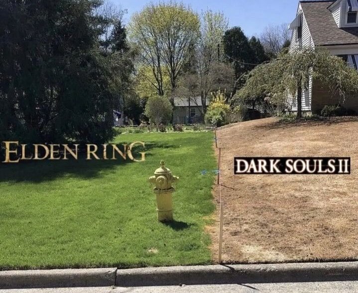 berserksouls tweet media