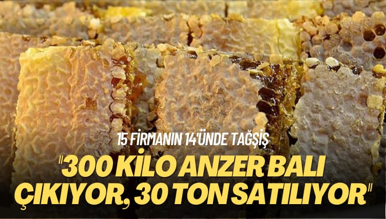 15 firmanın 14’ünde tağşiş: 300 kilo Anzer balı çıkıyor 30 ton satılıyor

aktifhaber.com/gundem/15-firm…